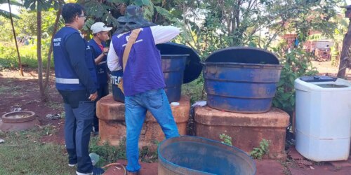 Chikungunya: entenda doença que preocupa Mato Grosso do Sul