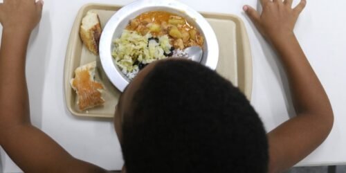 Inovação para enfrentar crise alimentar é tema de ação no Brasil