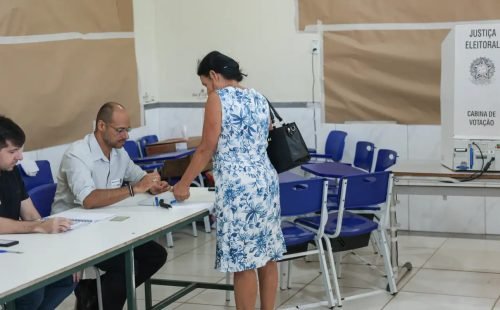 Movimento Vovó Vota defende consciência cidadã contra abstenção
