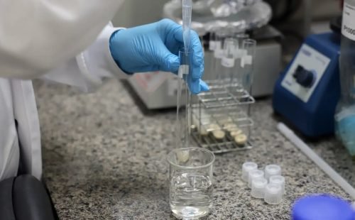 Doença de Newcastle: protocolos sanitários são cumpridos em SC