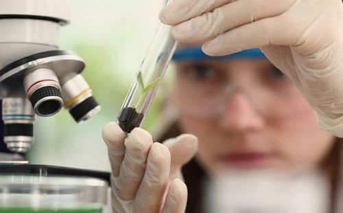 Imersão científica leva alunas e professoras a centros tecnológicos