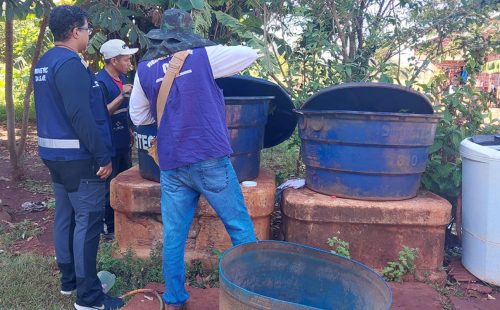 Chikungunya: ministro classifica de crítica situação em Dourados