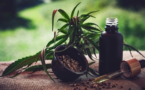 Para associações, normas ainda deixam pontos em aberto sobre cannabis