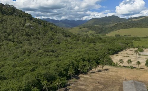 Agricultura ganha 11 milhões de hectares em 41 anos na Mata Atlântica