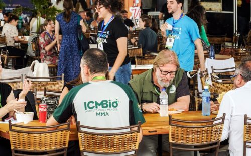 COP15: negociações avançam para proteção de espécies migratórias