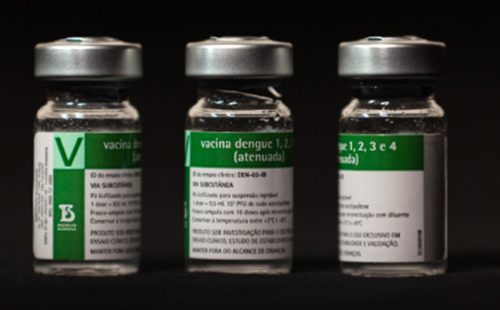 Aplicação da vacina da dengue do Butantan começará a partir do dia 17