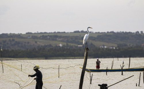 Gestão do seguro-defeso passa oficialmente ao Ministério do Trabalho