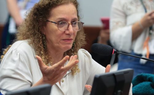 Parlamentares governistas vão aos EUA apresentar contraponto à direita