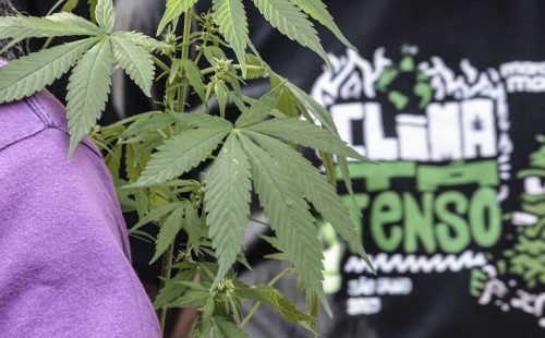 Flagrante por drogas gera mais prisão preventiva do que outros crimes