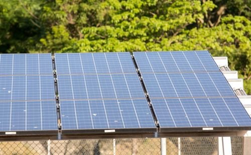 5º leilão do Eco Invest atrai quase R$ 50 bi para investimentos verdes