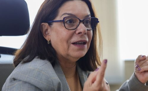 Denise Pires de Carvalho será vice-presidente de ciências da Unesco