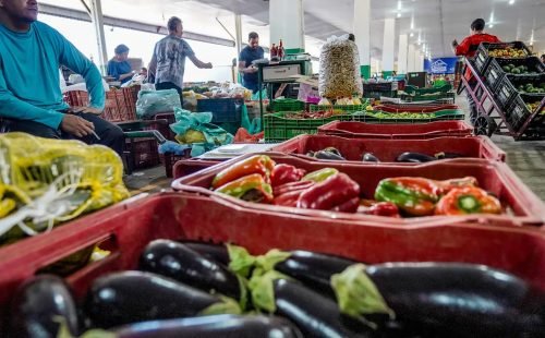 Campanha busca engajamento para reduzir desperdício de alimento