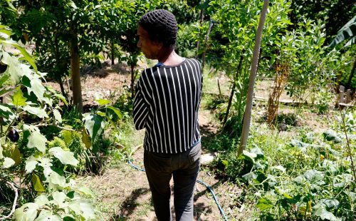 Horta comunitária reúne memória, cuidado e cidadania em favela do Rio