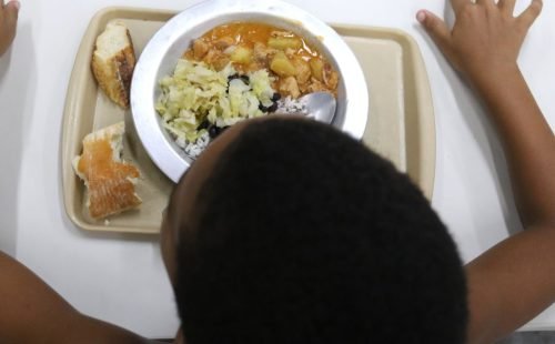 Inovação para enfrentar crise alimentar é tema de ação no Brasil